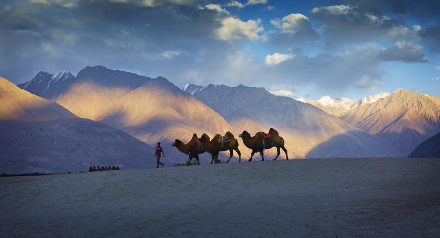Chamba Camp Diskit Нубра Экстерьер фото
